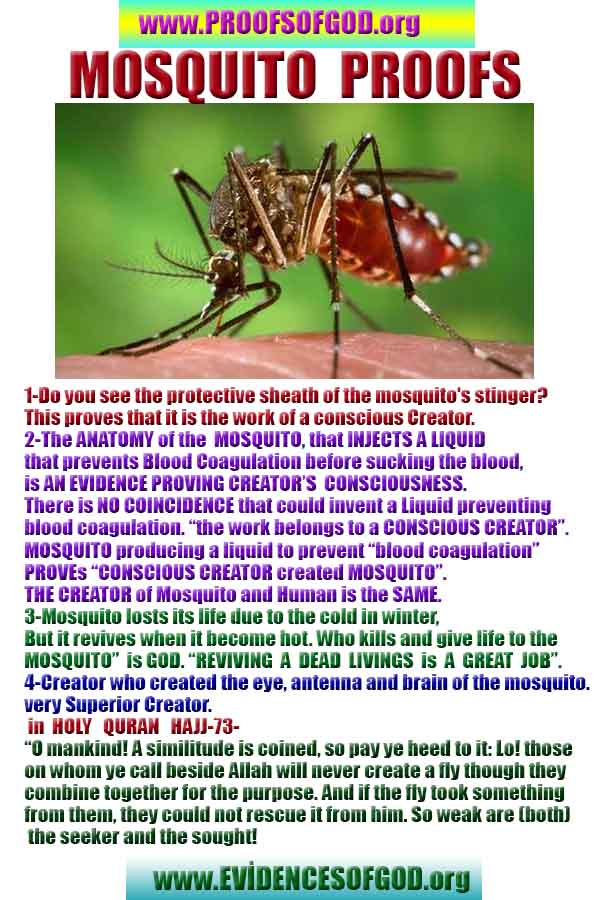 proofs of god, evidences of god 