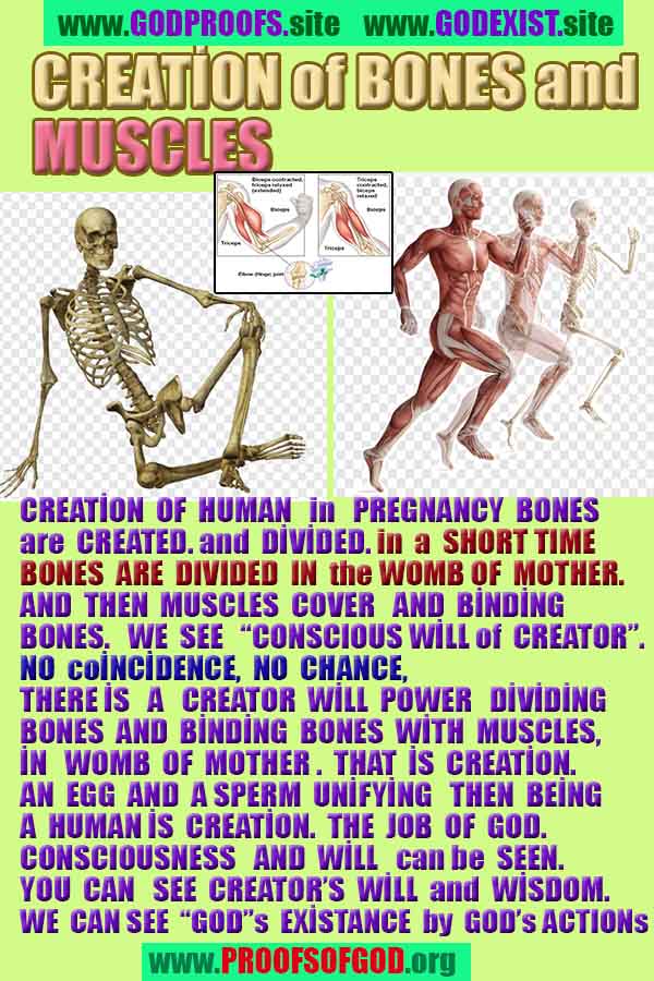 proofs of god, evidences of god 