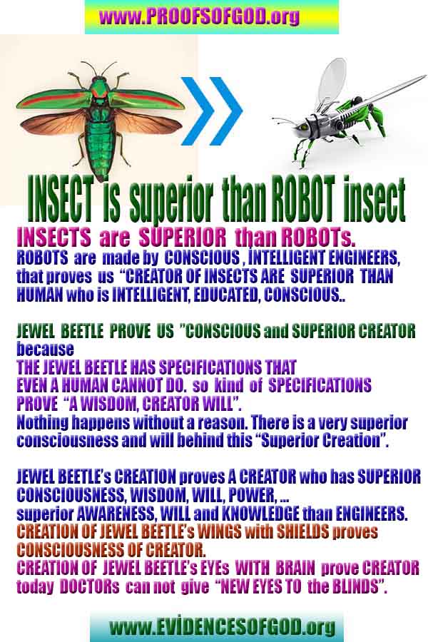 proofs of god, evidences of god