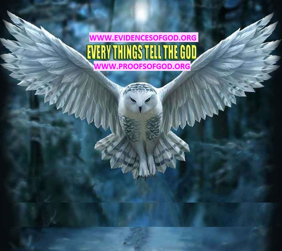 proofs of god, evidences of god