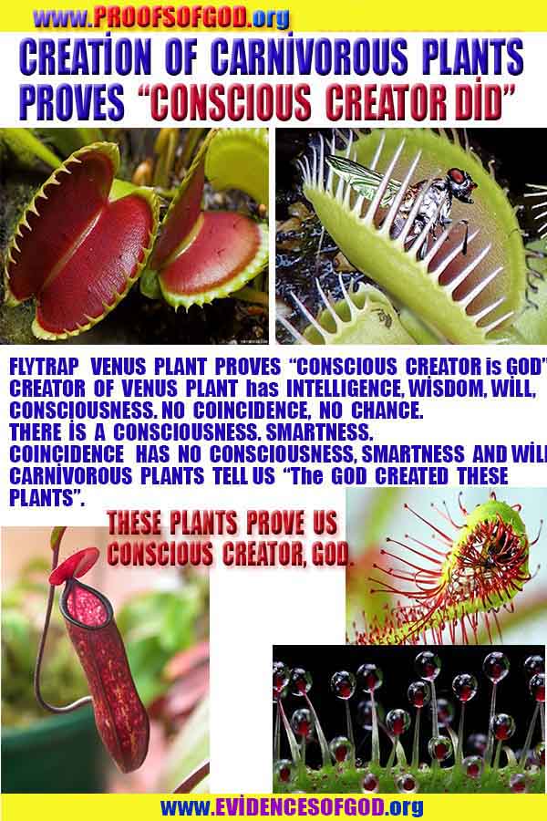 proofs of god, evidences of god